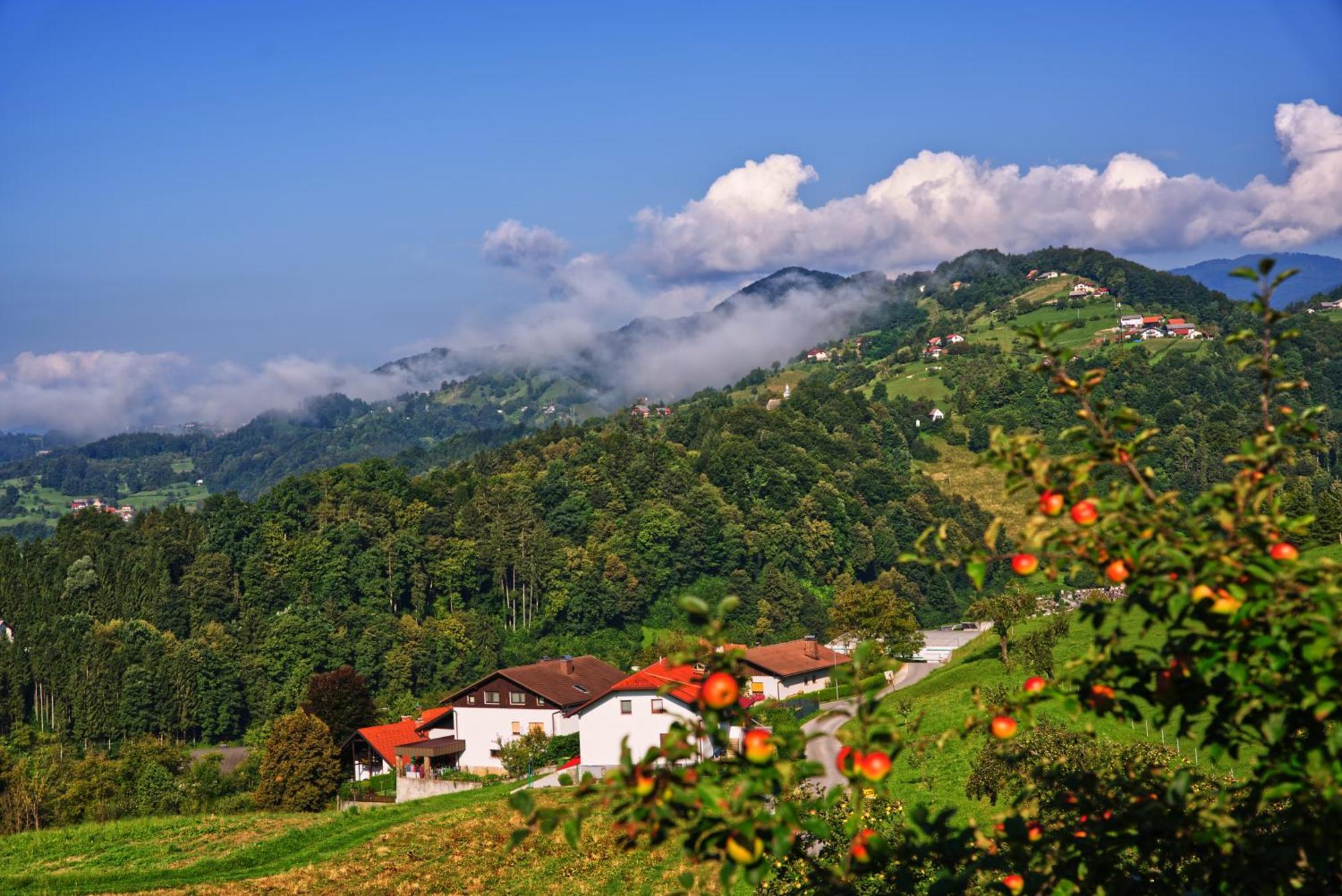 Farm Stay Pirc Laško Dış mekan fotoğraf