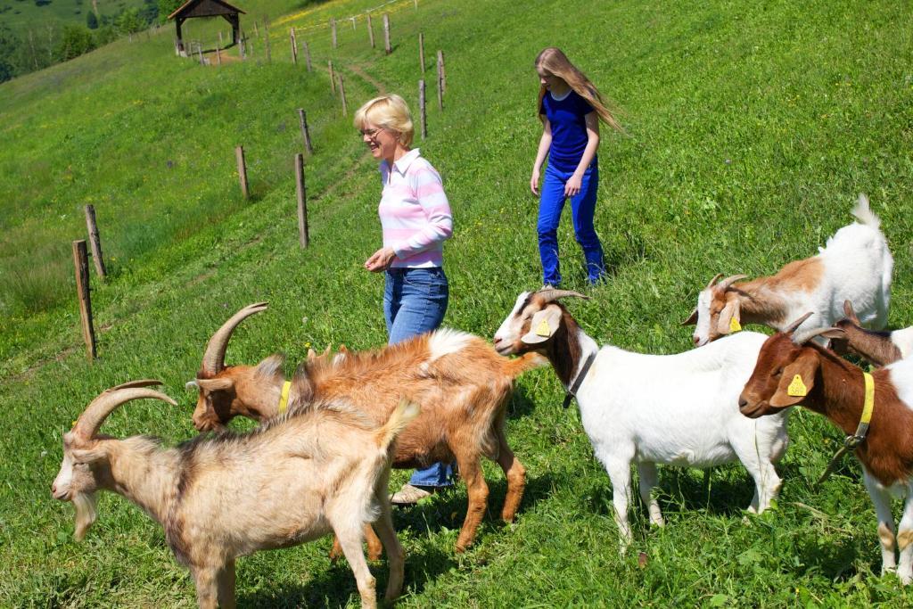 Farm Stay Pirc Laško Dış mekan fotoğraf